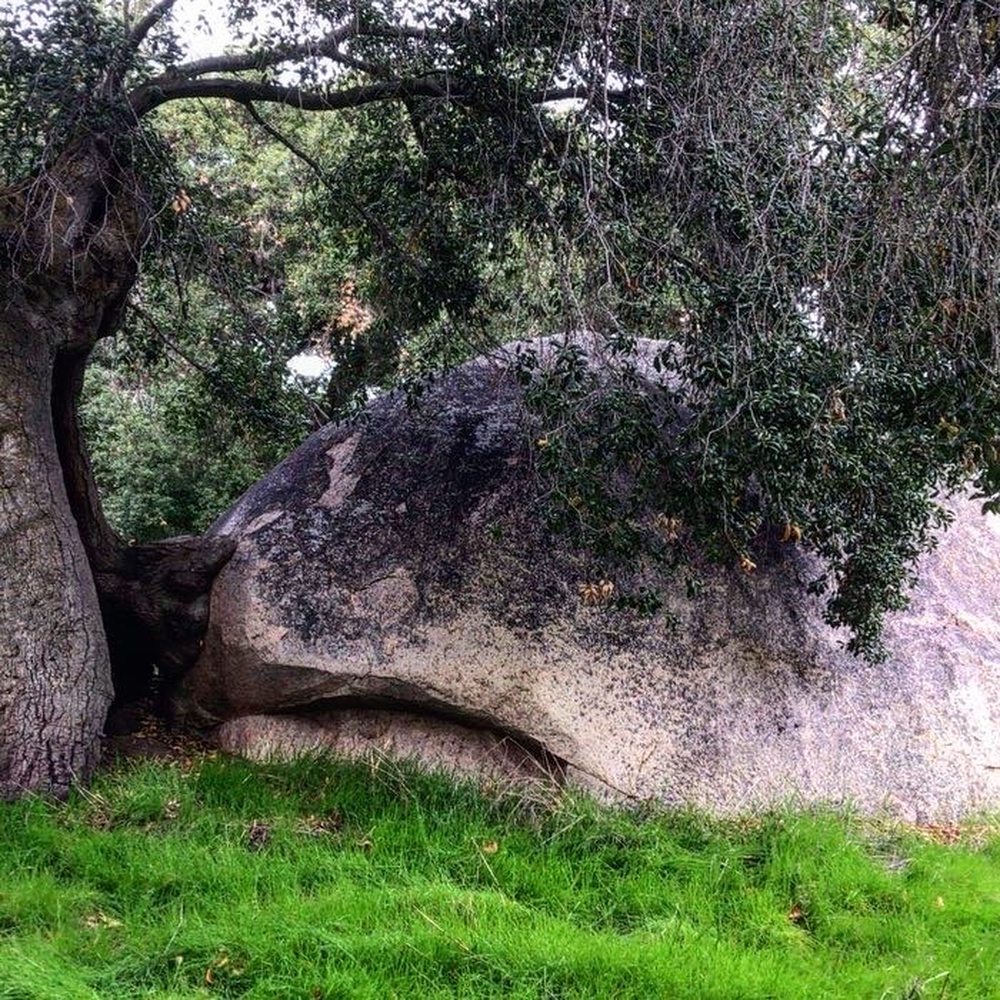 Hollenbeck Canyon Wildlife Area - Hiking Near Me - Jamul, California