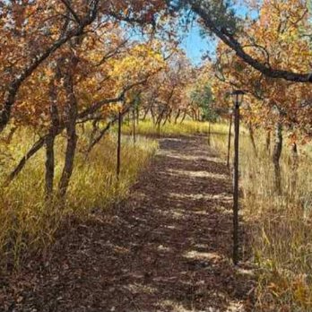 Blue Lake Ranch - Path to the cabin - Hotels Near Me - Durango, Colorado Blue Lake Ranch - Path to the cabin - Hotels Near Me - Durango, Colorado