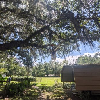 L A Disaster Relief - Tree Services Near Me - Interlachen, Florida