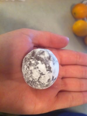 The Original Donkey Ball Store by null