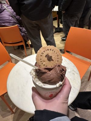 Nutty Squirrel Gelato by null