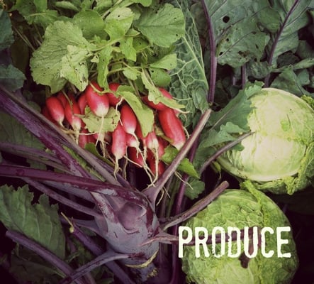 Fair Weather Farm at Fairhill by null