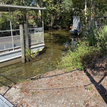 Jean Lafitte Swamp Tour - Boat Tours Near Me - Marrero, Louisiana