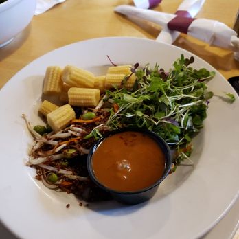 Trident Booksellers & Café - Portebello bowl. - Bookstores Near Me - Boston, Massachusetts