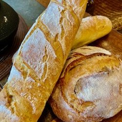 The Bohemia Bakery