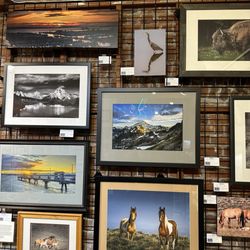 Arts of Snohomish - Photos by member photographer David Demarest!