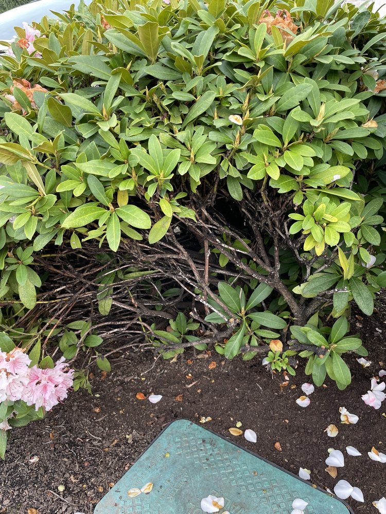 Slide of Northwest Backflow Inspection and Testing Services