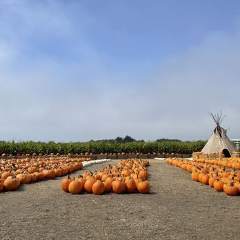 Farmer John's Pumpkin Farm - Pumpkin Patches Near Me - Half Moon Bay, California
