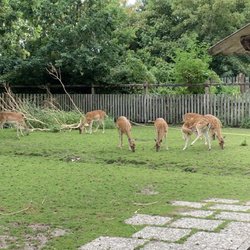 Tinnum Tierpark