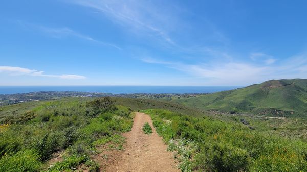 Zuma Canyon Trail by null