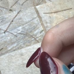 Denver Nail Spa - My ring finger nail is lifting and going to fall off