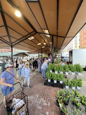 St. Paul Farmers' Market by null