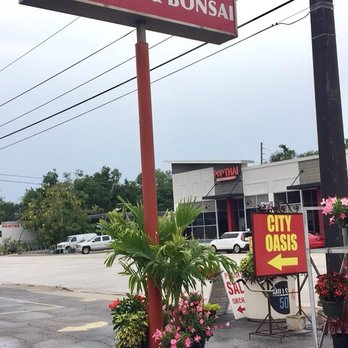 City Oasis - Gift Shops Near Me - Orlando, Florida City Oasis - Gift Shops Near Me - Orlando, Florida