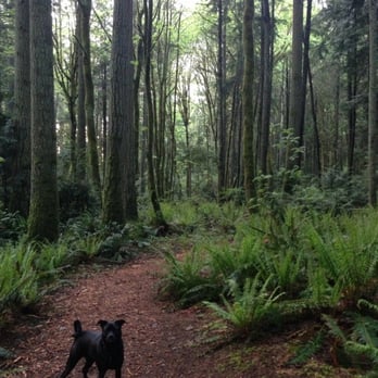 Illahee Preserve - Parks Near Me - Kitsap, Washington