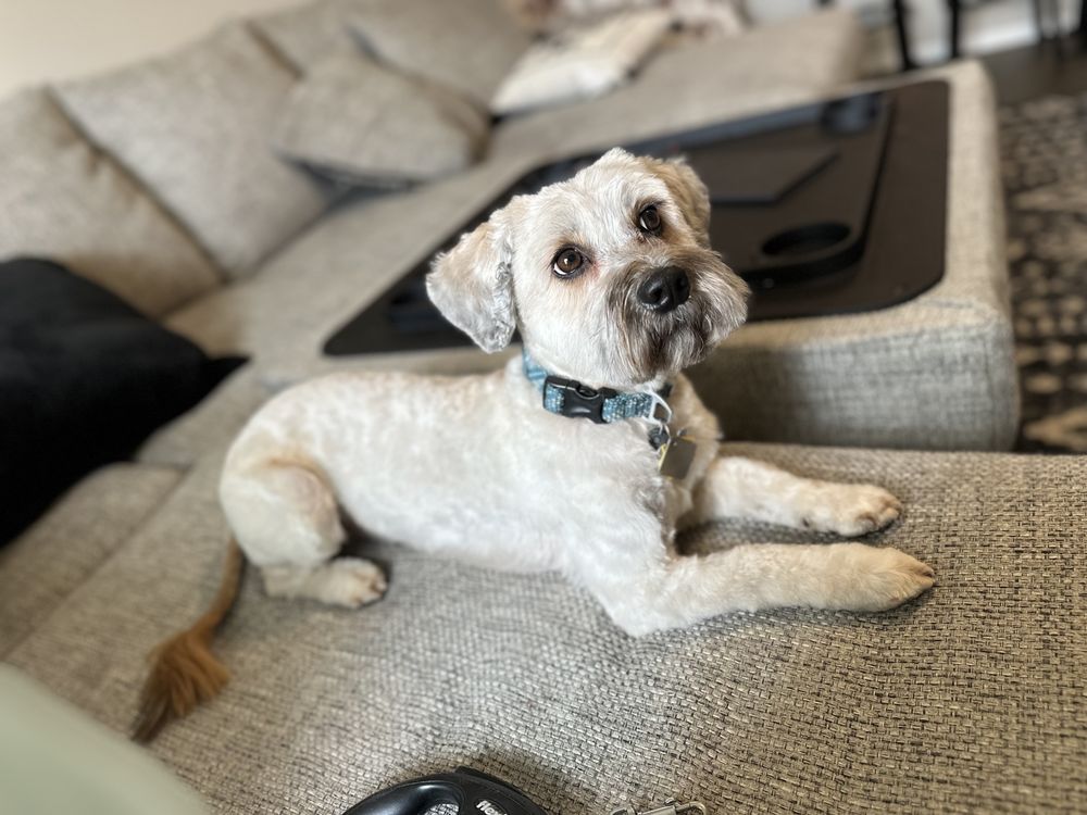 Jaz’s Tailored Tails - pet boarding facility in Bixby, OK