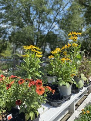 The Growing Place Garden Center by null