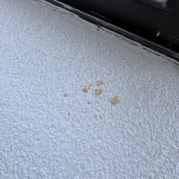 Crumbs Crumbs