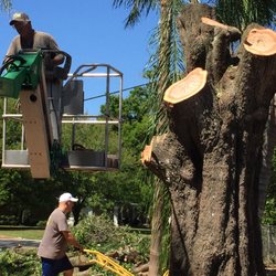 Rick's Tree And Landscaping Services