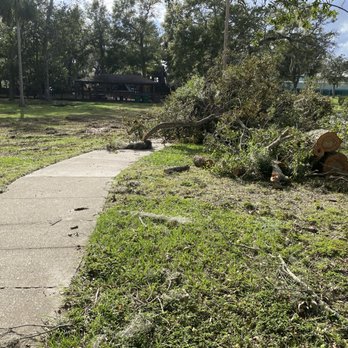Magic Forest Playground - Post Hurricane Milton 2024 - Parks Near Me - Ormond Beach, Florida Magic Forest Playground - Post Hurricane Milton 2024 - Parks Near Me - Ormond Beach, Florida