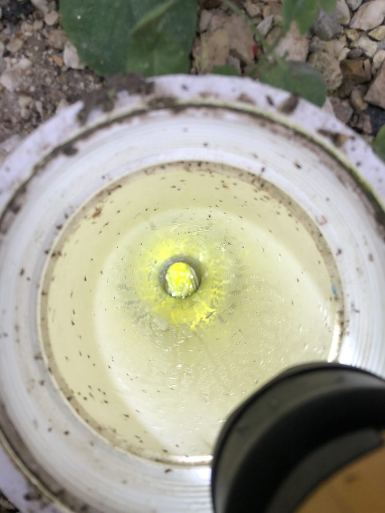 Slide of The Fair Plumber