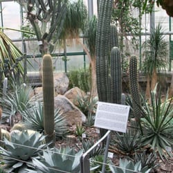 Botanischer Garten