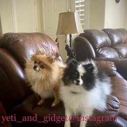 Just my girls happy ! Follow us: on Instagram :D Just my girls happy ! Follow us: on Instagram :D