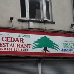 The Cedar Tree