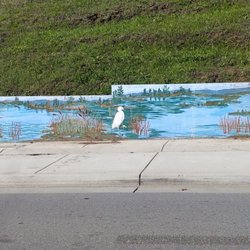Watsonville Wetlands