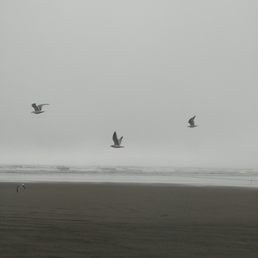 Ocean Shores, WA beach Ocean Shores, WA beach
