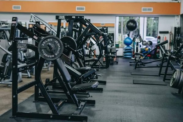 ZOO HEALTH CLUB - LANTANA - Updated January 2025 - 47 Photos - 700 W