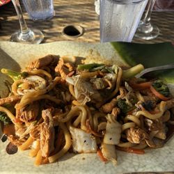 Yaki udon chicken