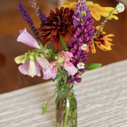 True Blue Flower - Nice variety of flowers available