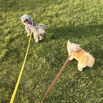 Cleveland Park - 5/24/26 walking Havana and Kuba! - Parks Near Me - Airway Heights, Washington Cleveland Park - 5/24/26 walking Havana and Kuba! - Parks Near Me - Airway Heights, Washington