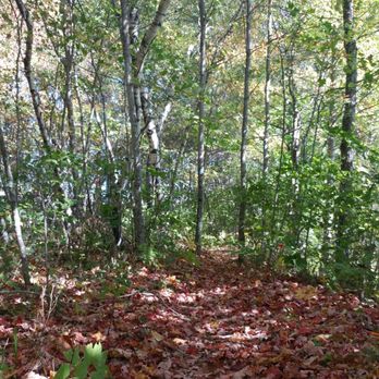 Intervale Preserve - When summer meets fall. - Hiking Near Me - New Gloucester, Maine