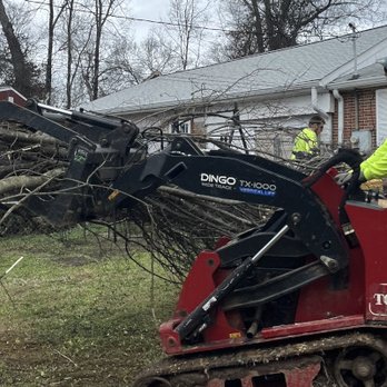 My Tree Guy - Hazardous tree removal is important for the health of the tree and the safety of you and your property. - Tree Services Near Me - Nashville, Tennessee