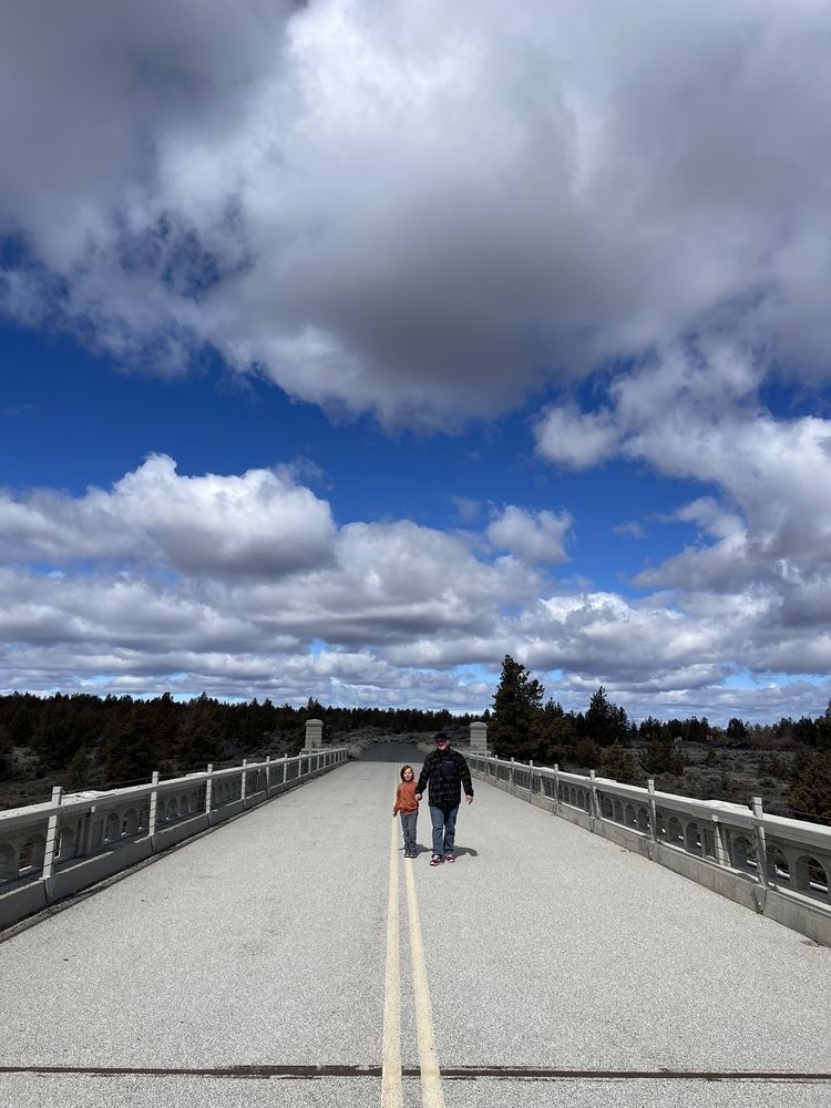 Peter Skene Ogden State Scenic Overlook Logo
