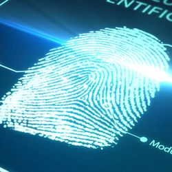 Biometrics Identity Verification System