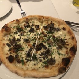 Funghi Funghi