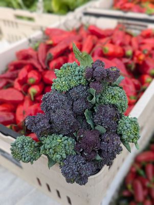 Bloomfield Saturday Market by null