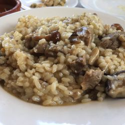La Encina - Arroz con setas y pluma