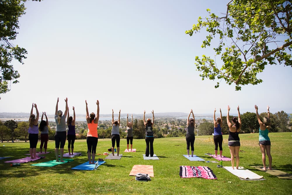 SD Body Vibe Fitness Logo