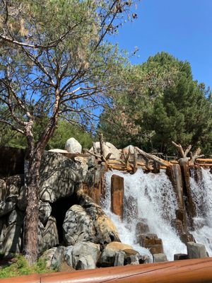 Grizzly River Run by null