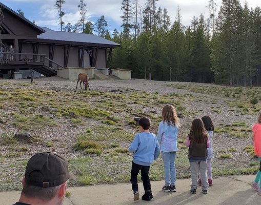 Grant Village by null