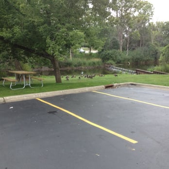 Quality Inn - Feed yourself at the picnic tables while you feed the geese?Or just take your chance and try to run them off?Beware of Geese!lol - Hotels Near Me - Auburn Hills, Michigan Quality Inn - Feed yourself at the picnic tables while you feed the geese?Or just take your chance and try to run them off?Beware of Geese!lol - Hotels Near Me - Auburn Hills, Michigan