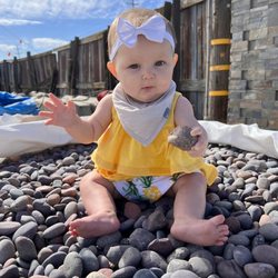 Rock Pros Landscape Supply - Rock suggestions :)