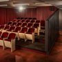 Floralee Hark Cohen Cinema