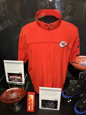 Pro Football Hall of Fame by null