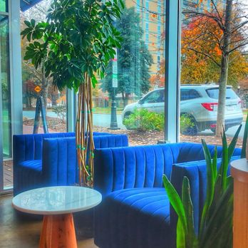 Indigo Tea & Coffee - Coffee & Tea Near Me - Charlotte, North Carolina Indigo Tea & Coffee - Coffee & Tea Near Me - Charlotte, North Carolina