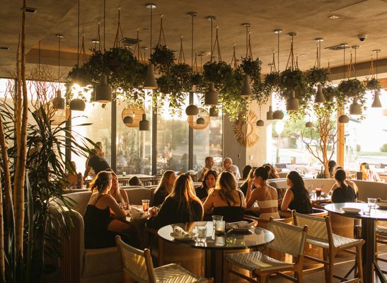 Cala Scottsdale by null