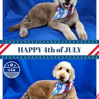 Annie's Pet Parlor - Pet Groomers Near Me - Phoenix, Arizona